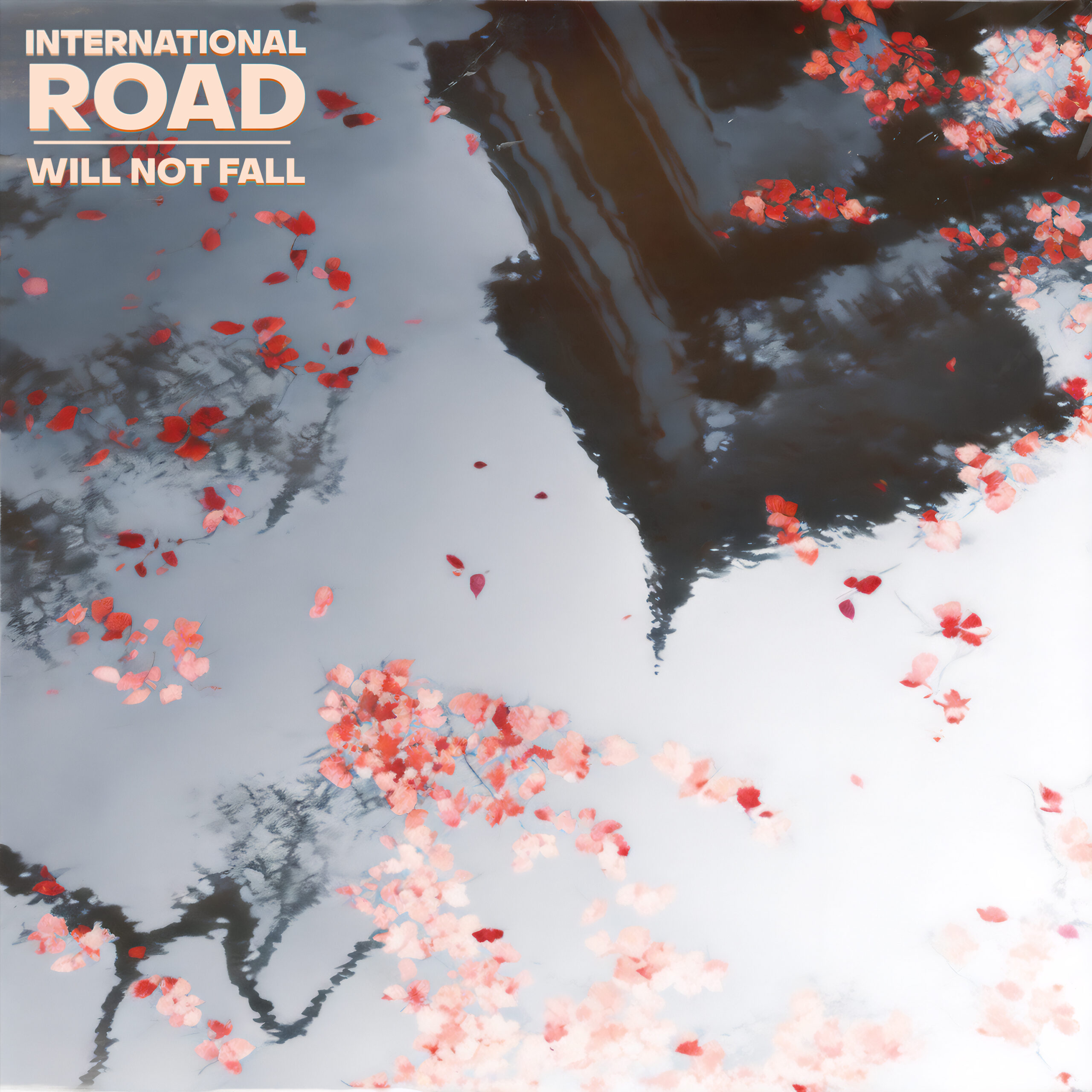 Will not fall cover art